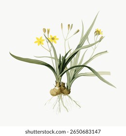 Illustration of a yellow flower plant with green leaves and roots. The yellow flower is detailed, with vibrant petals. The plant's roots are visible, adding realism. Vintage flower illustration vector