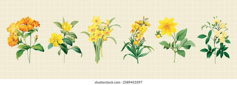 Illustration of yellow flowers, various yellow flowers with green leaves. Yellow flowers in a row, each with unique petals and leaves. Vibrant yellow flowers. Floral illustrations, vector set.