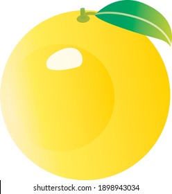 Ilustración del pomelo amarillo