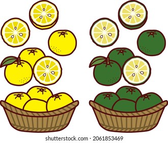 Illustration of yellow and green yuzu
