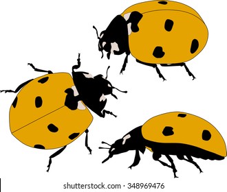Illustration mit gelben Leiter einzeln auf weißem Hintergrund