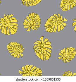 An Illustration of yellow leaves monstera isolated on a gray background. Seamless pattern