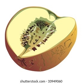 illustration with yellow melon isolated on white background