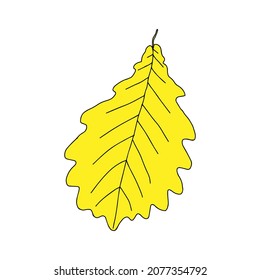 An Illustration of a yellow oak leaf isolated on a white background