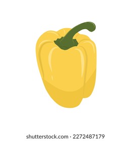 Illustration of yellow pepper vector on a white background 