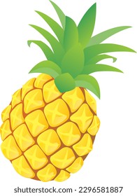 Illustration of the yellow pineapple