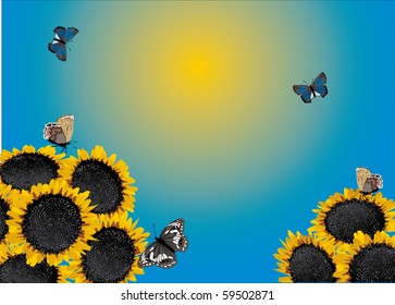 illustration with yellow sunflowers and butterflies
