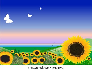 illustration with yellow sunflowers and butterflies