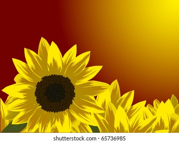 ilustración con girasoles amarillos al atardecer
