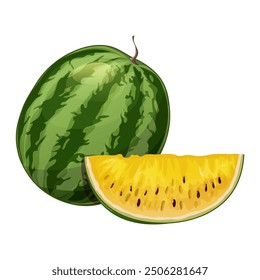 Illustration of yellow watermelon, whole and sliced, vector illustration isolated on white background, eps10