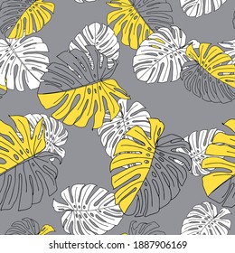 Illustration of yellow and white leaves monstera isolated on a gray background. Seamless pattern