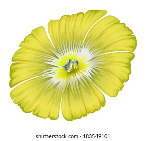 Illustration of a yellowgreen flower on a white background