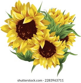 illustration of yellow-hot sunflowers with greenery without background