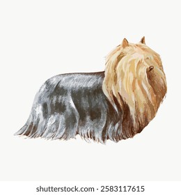 Illustration of a Yorkshire Terrier with long, flowing fur. The Yorkshire Terrier's coat is silky and shiny. Yorkshire Terrier depicted in a side view. Vintage animal illustration vector.