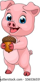 
Vektonné illustration, Young funny little piggy, holds acorn in paws, coloring, on white background.