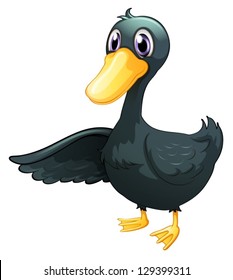 Illustration young gray duck white background