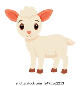 Illustration of young lamb on white