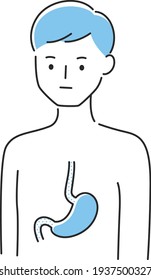 Ilustración de un joven. Ilustración del estómago de los órganos internos.