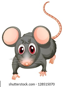 Illustration of a young mouse on a white background