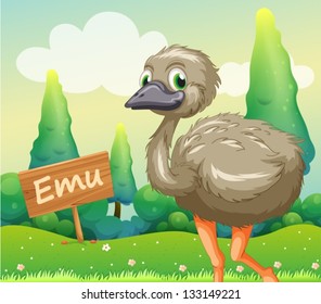 Illustration of a young ostrich beside a wooden signboard