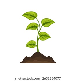 Illustration of Young Plant seedlings growing soil in isolated white background