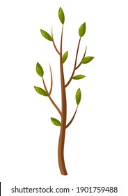 Illustration of young tree in spring. Season gardening image.