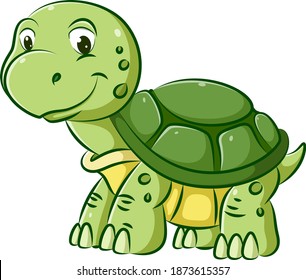 The illustration of young turtle with the green shell is walking with the big smile on his face