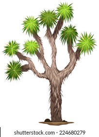 Joshua Tree Illustration Images Stock Photos Vectors Shutterstock