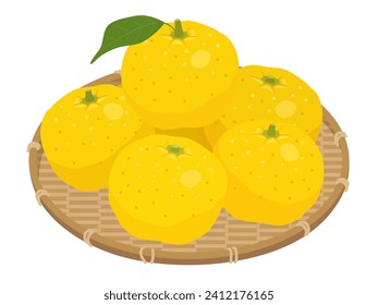 Illustration of yuzu in a basket