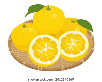 Illustration of yuzu in a basket