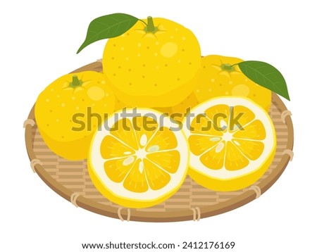 Illustration of yuzu in a basket