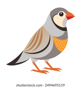 Illustration of Zebra Finch isolated