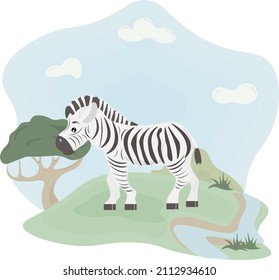 illustration zebra with green grass