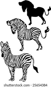 illustration with zebra isolated on white background