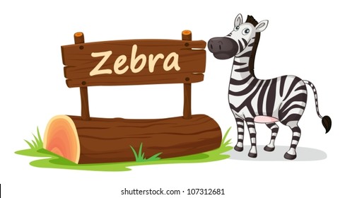 illustration of zebra on a white background