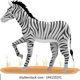 Illustration of a Zebra Standing on a Patch of Dry Grass