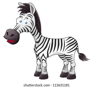 Illustration of Zebra vector