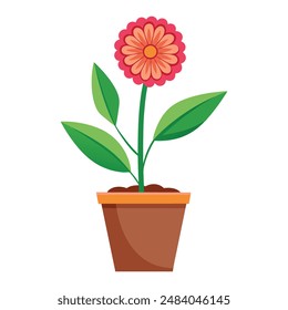 Illustration of Zinnia plant pot on white