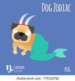 Illustration of a zodiac sign with a funny dog. Pug Capricorn