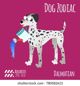 Illustration of a zodiac sign with a funny dog. Dalmatian Aquarius