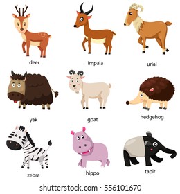 Illustration Zoo Animal Set Two Stock Vector (Royalty Free) 556101670 ...