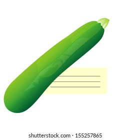Illustration of  zucchini