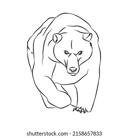 Illustration:Beautiful bear streaks, used in general applications