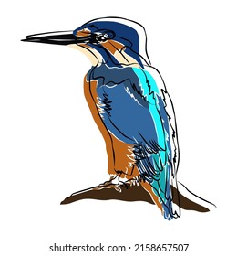 Illustration:Beautiful bird portraits, used in general applications