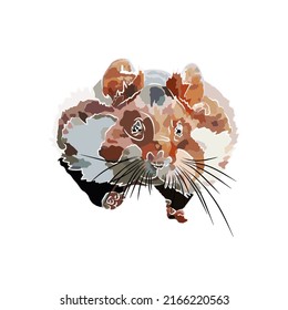 Illustration:Beautiful hamster, used in general work