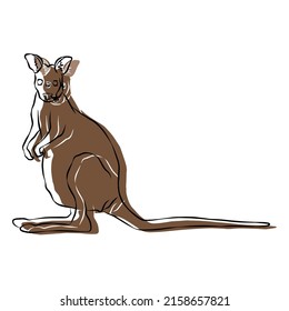 Illustration:Beautiful kangaroo image, used in general work