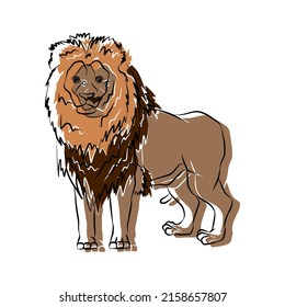 Illustration:Beautiful lion portraits, used in general work