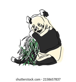 Illustration:Beautiful panda shots, used in general applications