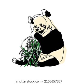 Illustration:Beautiful panda shots, used in general applications