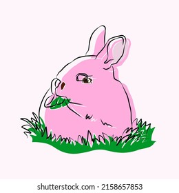Illustration:Beautiful rabbits, used in general applications